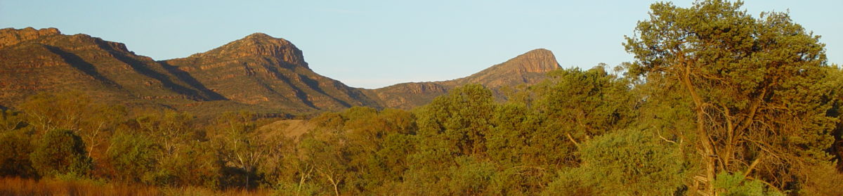 Tales from the Flinders Ranges