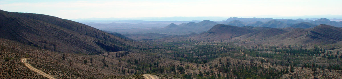 Tales from the Flinders Ranges