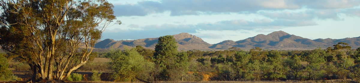 Tales from the Flinders Ranges