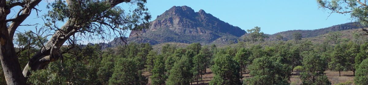 Tales from the Flinders Ranges